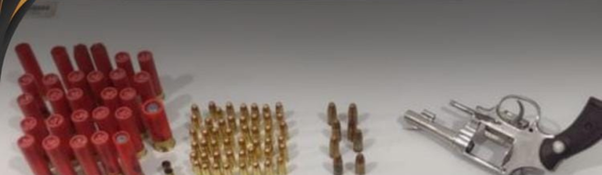 PCGO apreende armas de fogo e munições na zona rural de Jataí