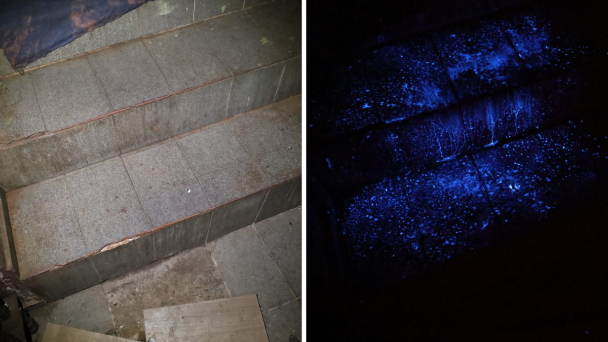 Operação Xadrez 121 – Sanguinaz: PCGO prende investigado por três homicídios ocorridos em Goiânia