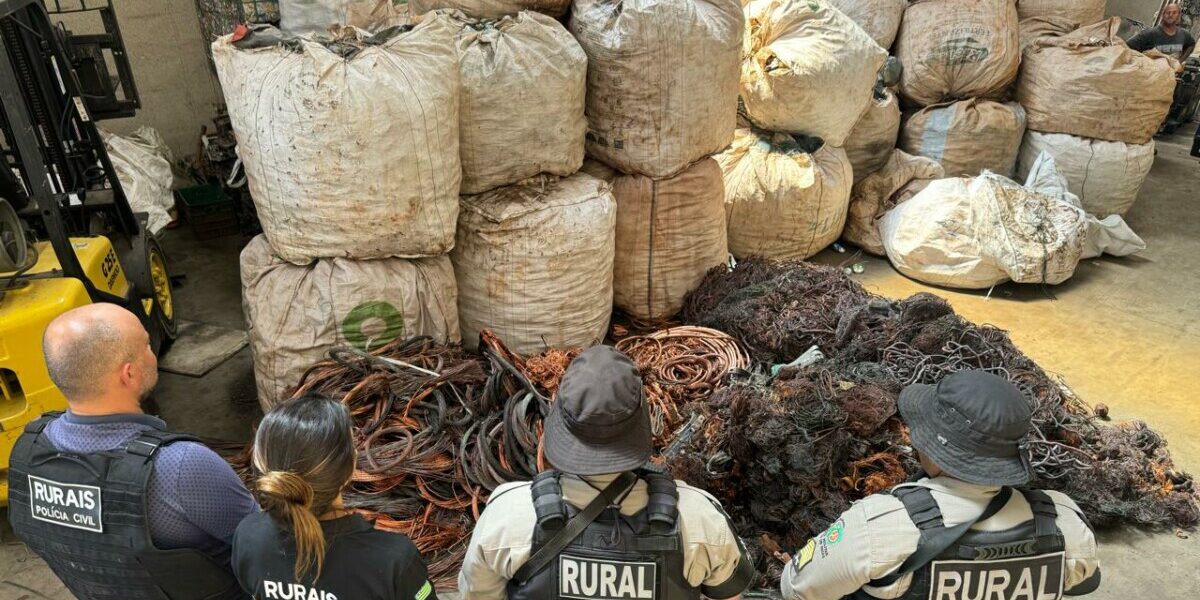 PCGO prende empresários, cumpre mandado de prisão e apreende produto furtado avaliado em R$ 90 mil