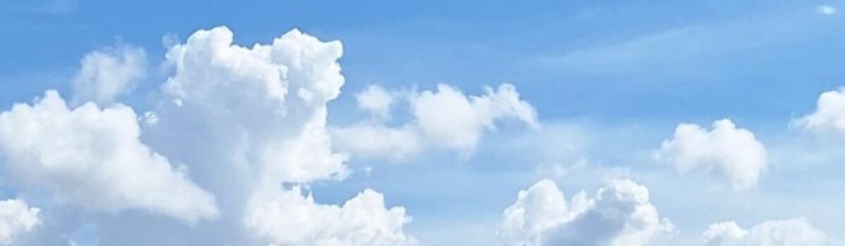 Após notícia de desaparecimento, PC localiza corpo de vítima de latrocínio em Anápolis