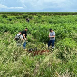 Chacina de Itapaci: PCGO desvenda o caso e prende envolvidos