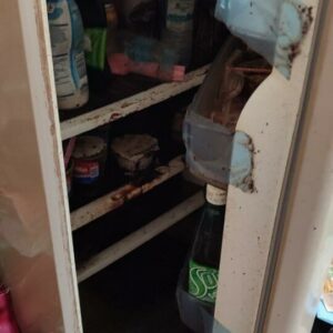 Operação Dignus: PCGO atua no resgate e dignidade de idosos