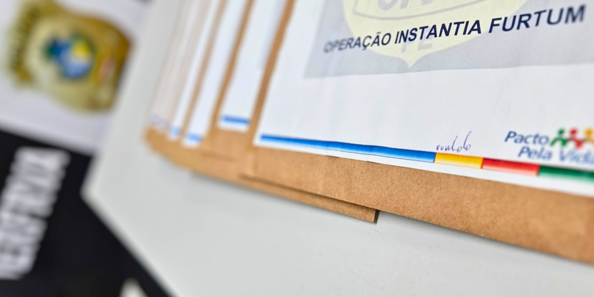 PCGO e PCPE desarticulam grupo criminoso por roubos e furtos de mercadorias e cargas
