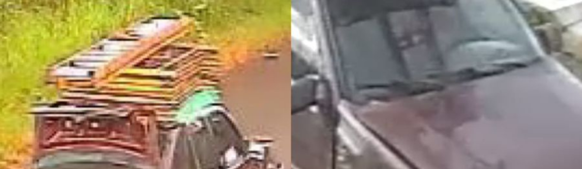 Investigado por diversos furtos é preso, em Itumbiara, pelo crime de roubo