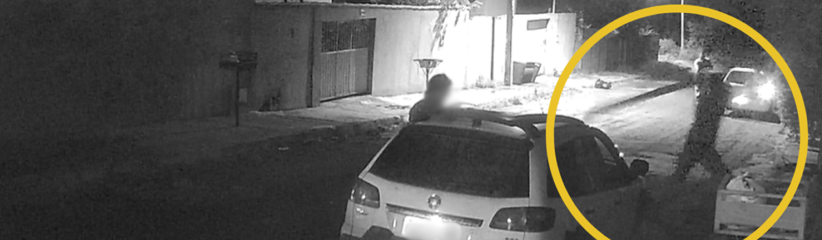 Homem é preso em flagrante por matar cachorro a pauladas, em Caiapônia