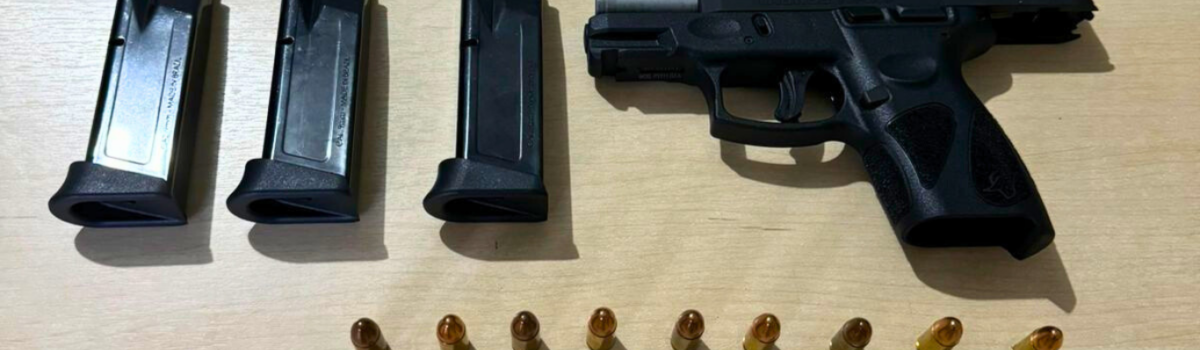 PCGO prende homem por posse irregular de arma de fogo