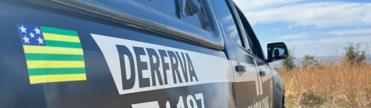 PCGO prende homem que subtraiu veículo do patrão e levou para o Tocantins
