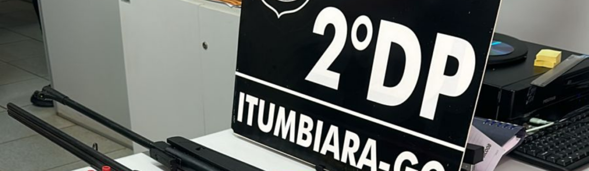 PCGO apreende armas com investigado por crimes de ameaça e perseguição