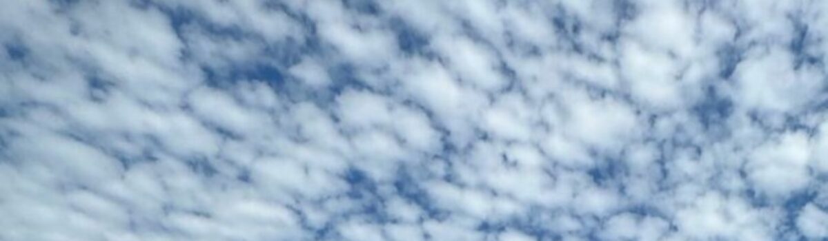 Homem é preso após investigação da PC relativa a estupro de criança de Rialma