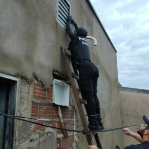 Operação Ruptura – 2ª fase: PCGO desarticula grupo criminoso envolvido com tráfico de drogas e armas ilegais