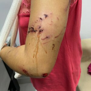 Polícia Civil investiga maus-tratos contra cachorro em Aparecida de Goiânia