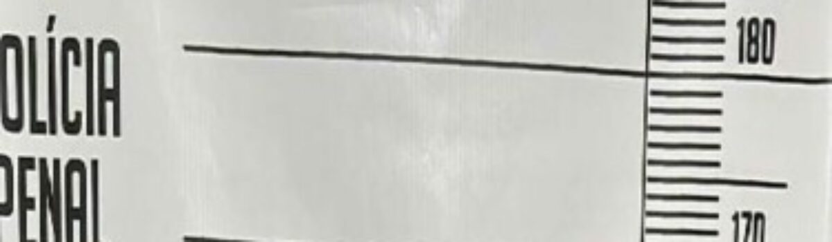 Polícia Civil prende motorista de transporte clandestino suspeito de estuprar passageira