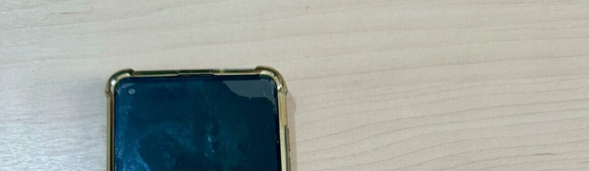 PCGO recupera celular furtado em Alto Paraíso poucas horas após o crime