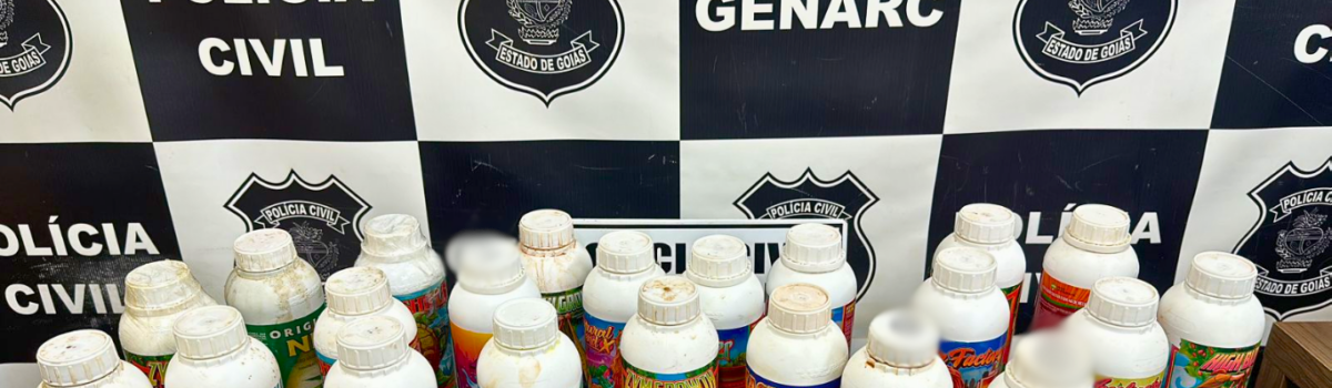 PCGO desarticula estufa de super maconha, em Itumbiara, e prende reincidente