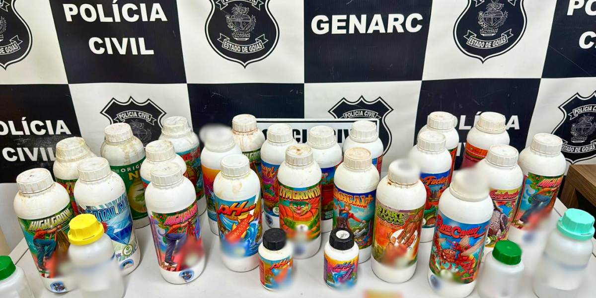 PCGO desarticula estufa de super maconha, em Itumbiara, e prende reincidente