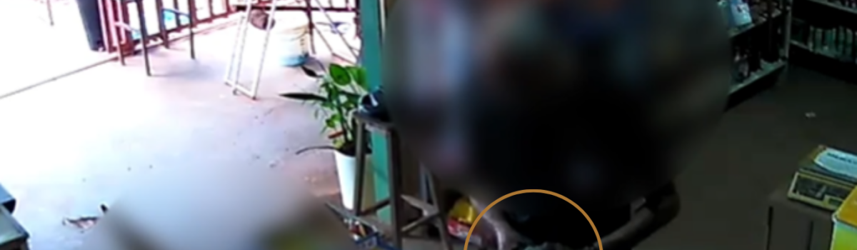 PCGO prende ex-chefe do Procon de Formosa por aplicar golpes em comerciantes e realiza buscas no órgão