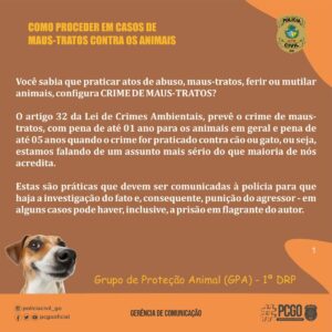 PCGO lança cartilha de orientação contra os maus-tratos animais