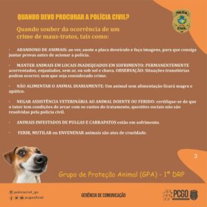 PCGO lança cartilha de orientação contra os maus-tratos animais