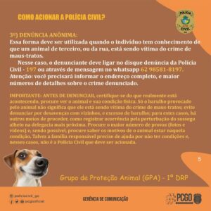 PCGO lança cartilha de orientação contra os maus-tratos animais