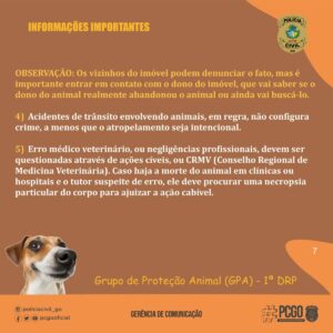PCGO lança cartilha de orientação contra os maus-tratos animais