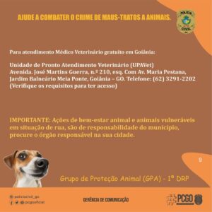 PCGO lança cartilha de orientação contra os maus-tratos animais
