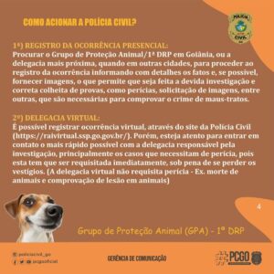 PCGO lança cartilha de orientação contra os maus-tratos animais
