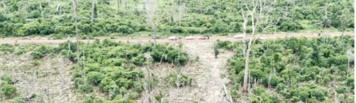 Líder de associação criminosa envolvido em grande desmatamento da Amazônia é preso em Goiânia