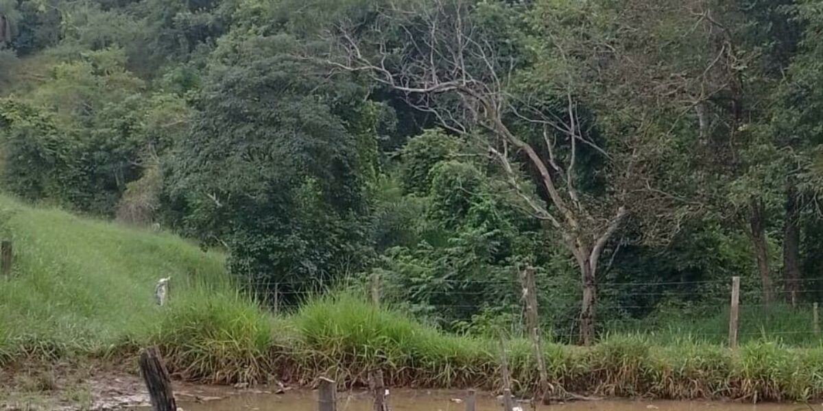 Homem é preso em flagrante por poluição ambiental em Pontalina