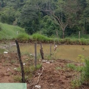Homem é preso em flagrante por poluição ambiental em Pontalina