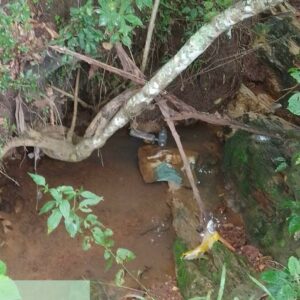 Homem é preso em flagrante por poluição ambiental em Pontalina