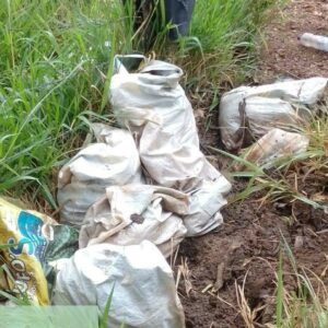 Homem é preso em flagrante por poluição ambiental em Pontalina