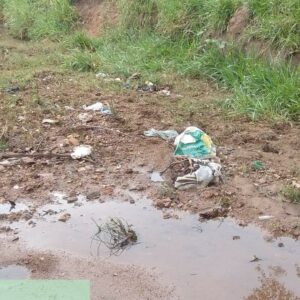 Homem é preso em flagrante por poluição ambiental em Pontalina