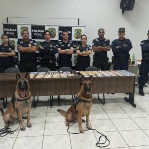 Operação Dissimulo: PCGO desmantela grupo criminoso investigado por tráfico de drogas em Rio Verde e região