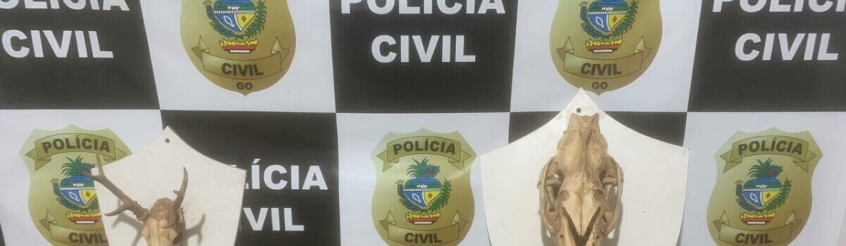 PC faz buscas e apreende arma, munições e partes de animais silvestres em Sanclerlândia