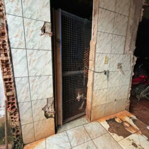 PCGO prende adestrador de cachorros por maus-tratos e resgata 12 animais