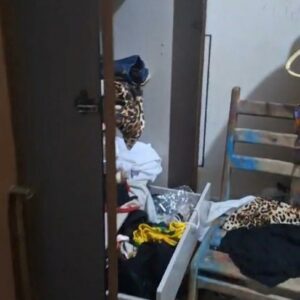 Maria da Penha: PCGO prende, em flagrante, investigado por ameaça, perseguição e outros crimes