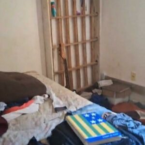 Maria da Penha: PCGO prende, em flagrante, investigado por ameaça, perseguição e outros crimes