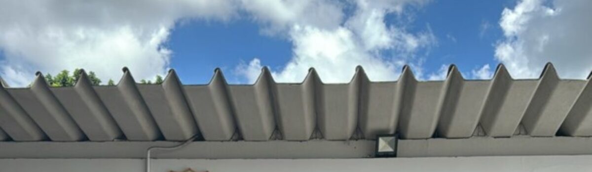 Mulher é presa em flagrante por extorquir guarda municipal em Aparecida de Goiânia