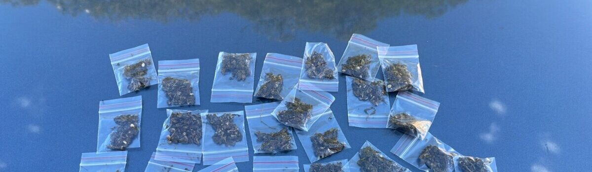 Polícia Civil prende suspeito de tráfico de drogas em Senador Canedo