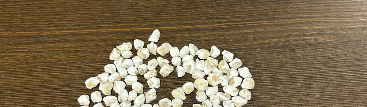 PC prende investigados por tráfico de drogas em Pires do Rio