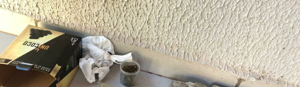 Policiais civis flagram homem com maconha ao irem à casa dele para intimarem ele em outro inquérito