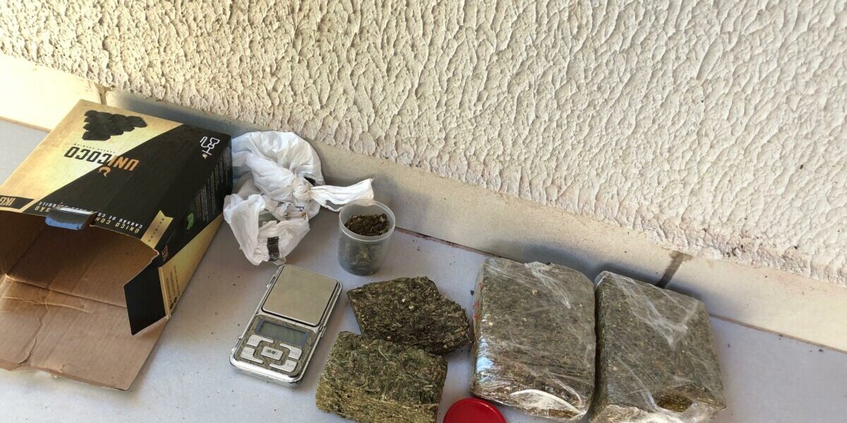 Policiais civis flagram homem com maconha ao irem à casa dele para intimarem ele em outro inquérito