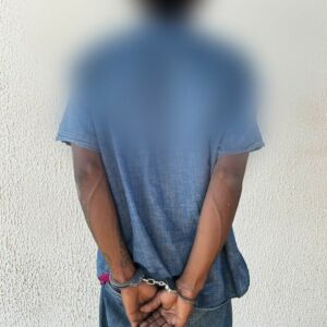 Deam de Aparecida de Goiânia prende dois agressores em flagrante por violência doméstica