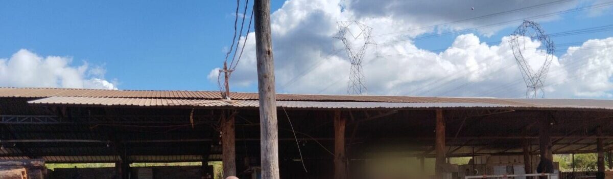 Gerente de serraria é preso por furto de energia, em Águas Lindas