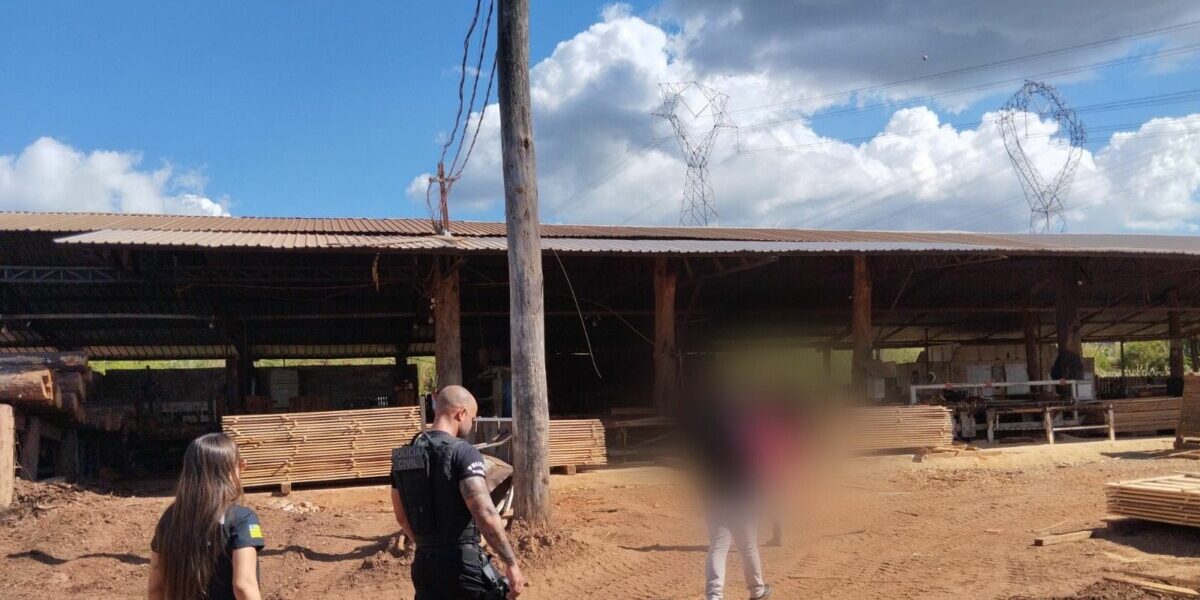 Gerente de serraria é preso por furto de energia, em Águas Lindas