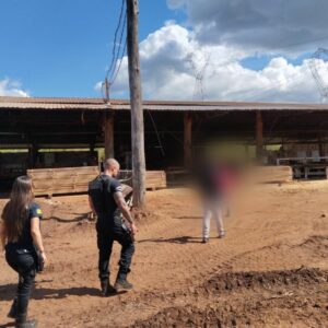 Gerente de serraria é preso por furto de energia, em Águas Lindas