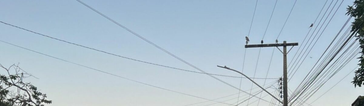 Polícia Civil e Polícia Militar fazem operação contra o tráfico de drogas em Morrinhos