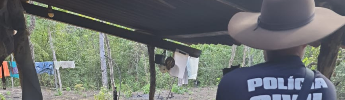 Homem é preso por furtar energia de propriedade alheia, crimes ambientais e porte de arma de fogo