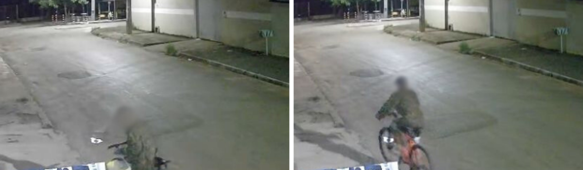 PCGO investiga homem por maus-tratos a animais após denúncias de descarte de filhotes de gatos em via pública