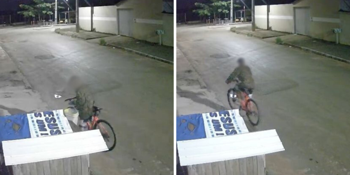 PCGO investiga homem por maus-tratos a animais após denúncias de descarte de filhotes de gatos em via pública